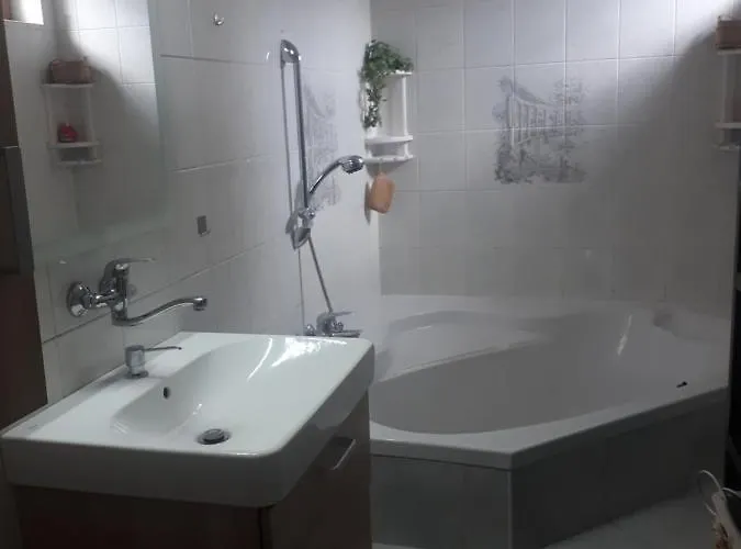 Apartman Krtiny 公寓